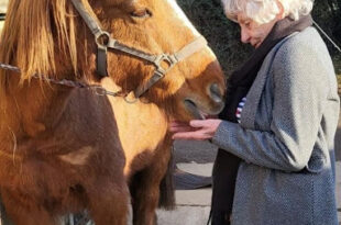 Beryl visits the stables