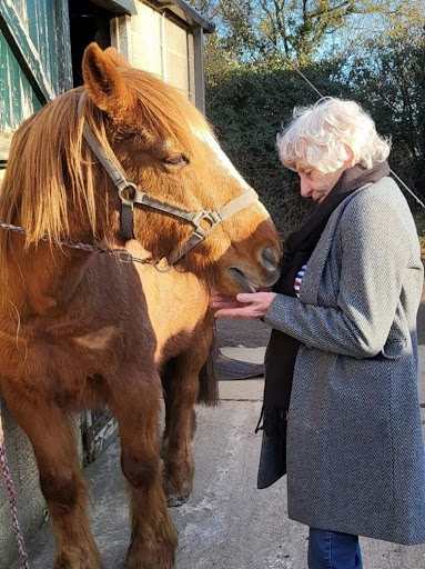 Beryl visits the stables