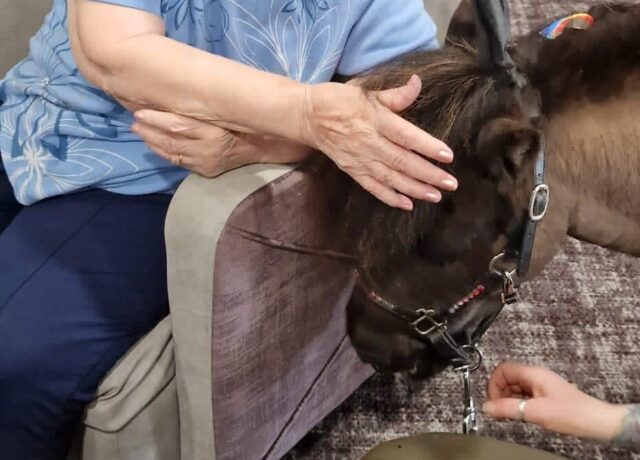 Woman stroking a pony on the head.