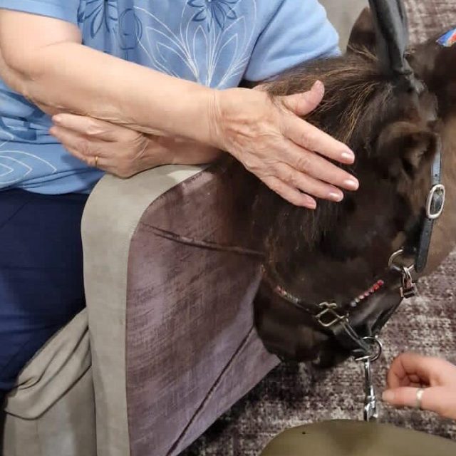 Games & Activities for People With Dementia