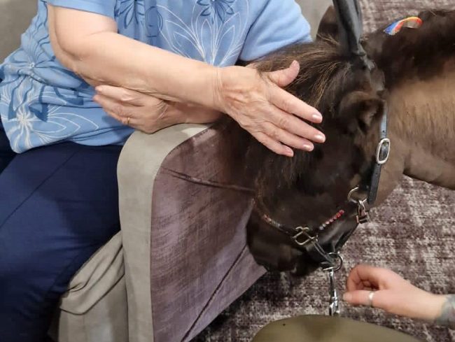Games & Activities for People With Dementia
