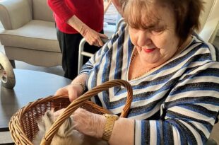 Petting party at Holbeach Meadows Care Home