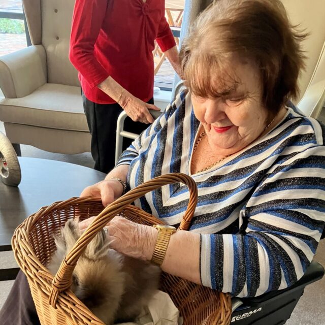 Petting party at Holbeach Meadows Care Home