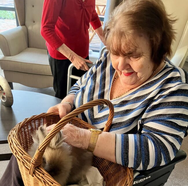 Petting party at Holbeach Meadows Care Home