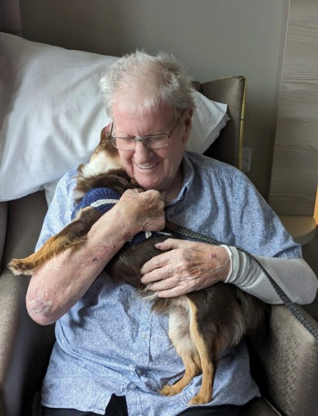 Pet therapy at Avocet House