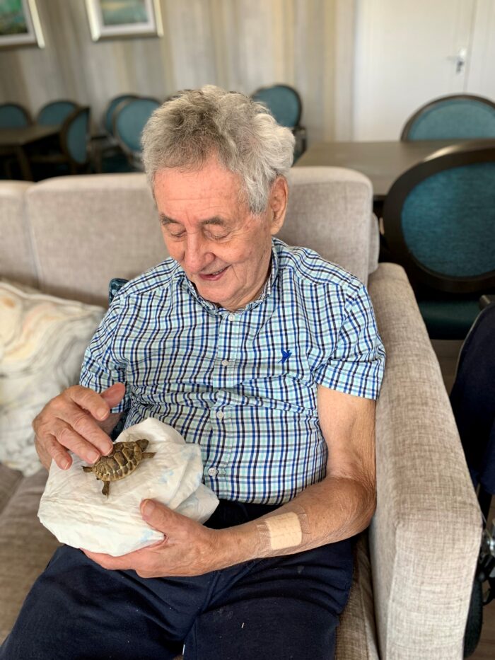 Elderly resident petting a turtle whilst sitting in armchair
