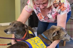 Pet therapy
