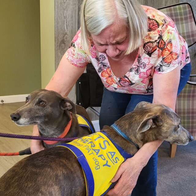 Pet therapy