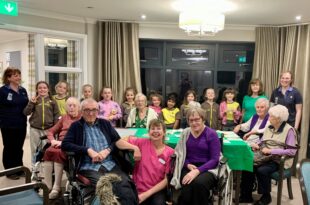 Brownies earn painting badge at Holbeach Meadows