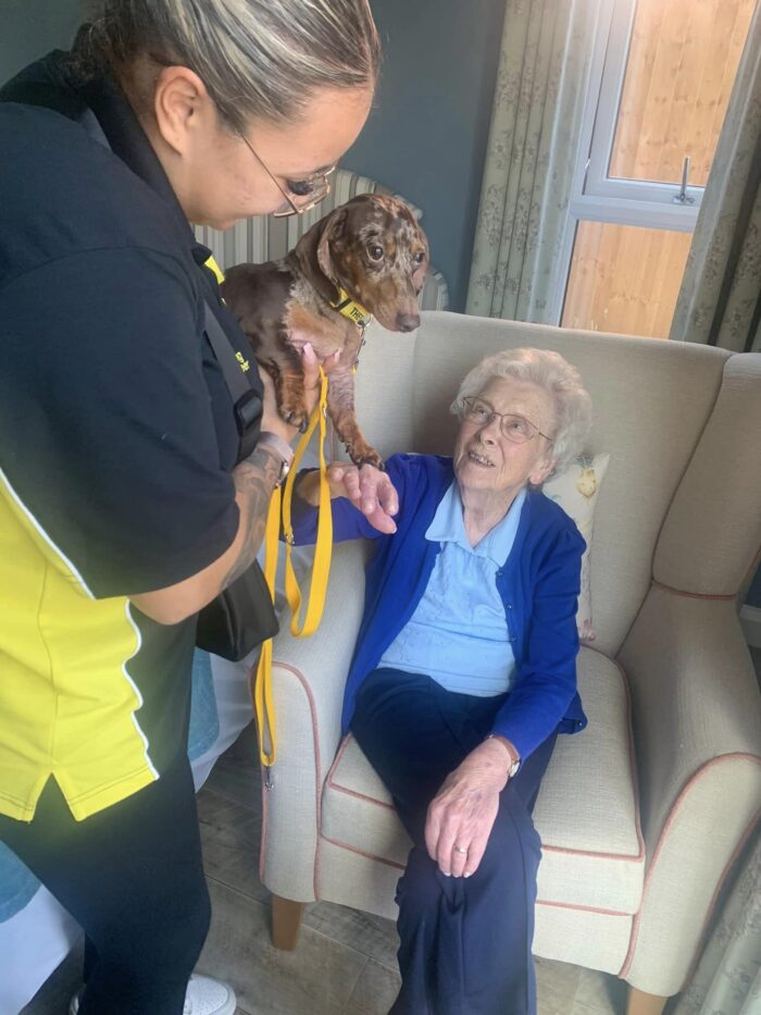 A Beeston Rise resident gently strokes Peggy the therapy dog during a comforting animal therapy visit.