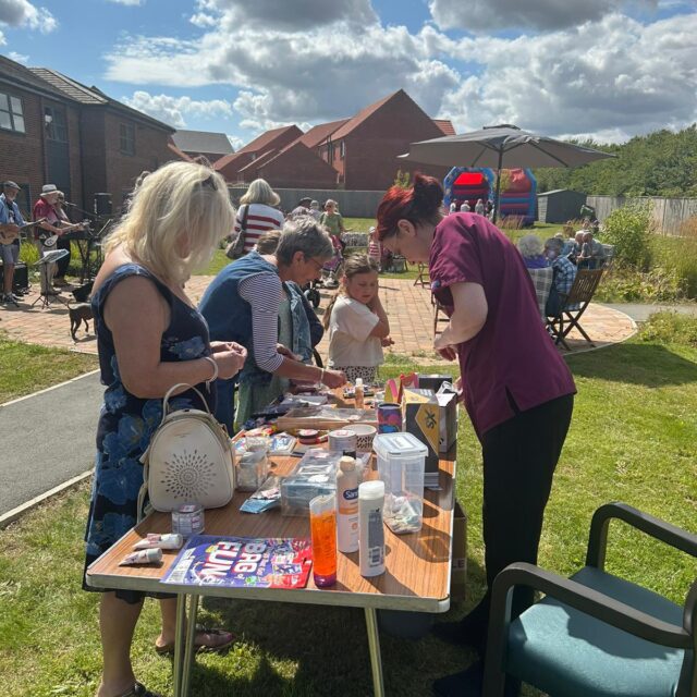 Meadows Park Summer Fair