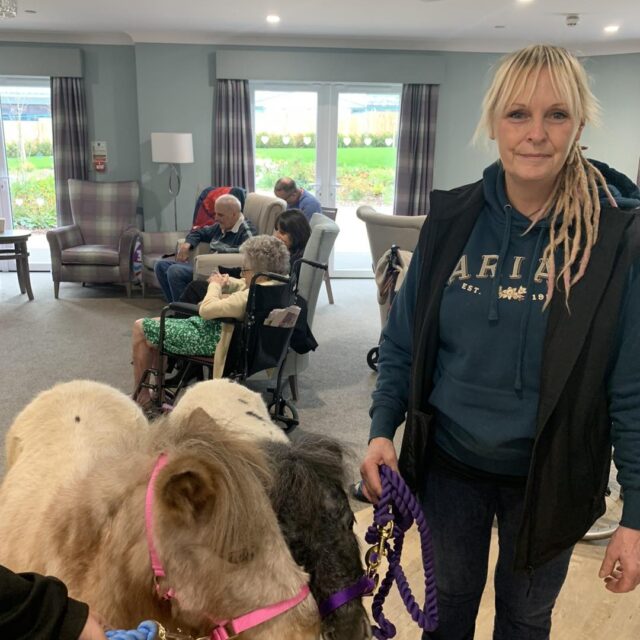 A heartwarming visit from Northcote’s heavy horse sanctuary