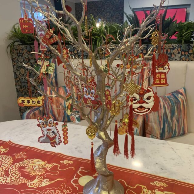 York Manor residents embrace Chinese New Year joyfully