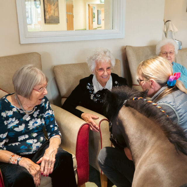 Shetland Pony Brings Joy to Cloverleaf Care Home with Drop Dead Generous Initiative