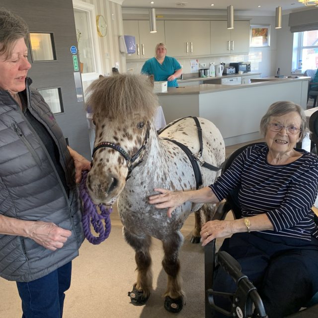 An enchanting visit at Avocet House Care Home