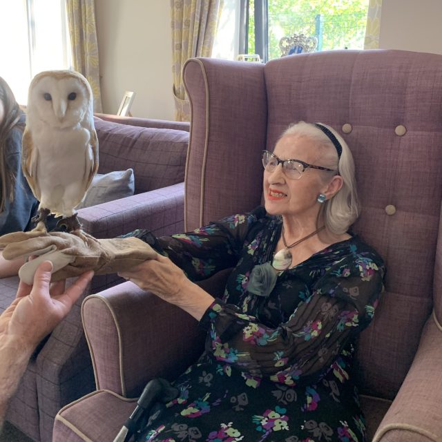 Exotic Animals Delight Residents at Abbey Wood Lodge