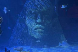 A “Fintastic” Day at Sea Life Manchester!