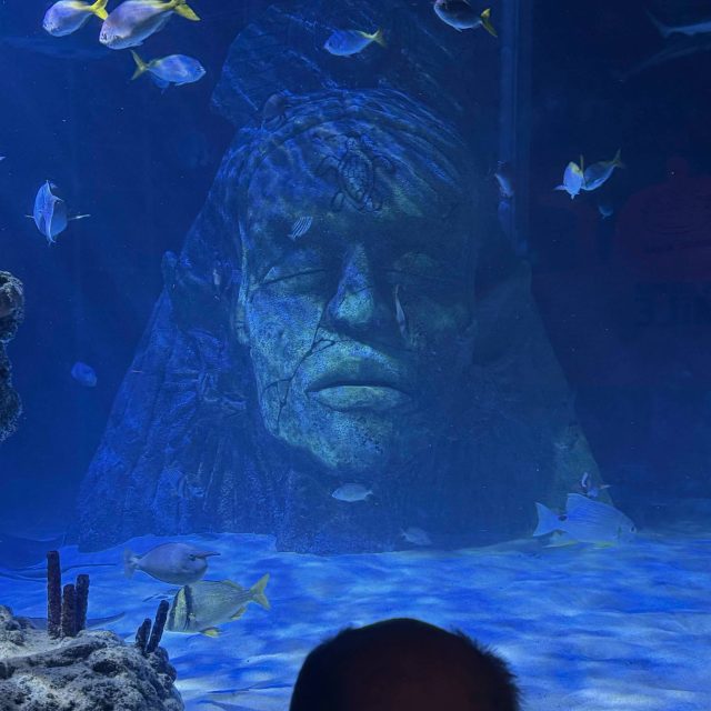 A “Fintastic” Day at Sea Life Manchester!