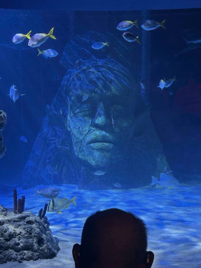A “Fintastic” Day at Sea Life Manchester!