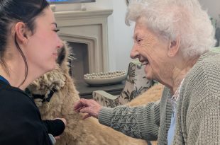 Alpaca Visit Brings Joy and Smiles to Mount Croft Care Home