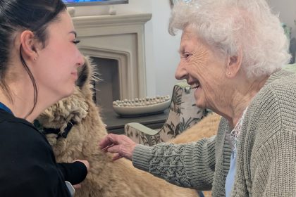 Alpaca Visit Brings Joy and Smiles to Mount Croft Care Home