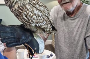Bingley Park Care Home Residents Enjoy a Visit from Owl Adventures