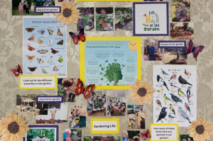 Abbey Wood Lodge Residents Blossom with Gardening Club Initiative