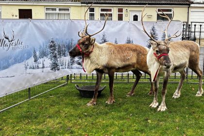 A resident’s Christmas wish comes true during festive reindeer visit at Richard House