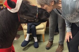 A Hoof-Tastic Christmas Surprise at Sandpiper