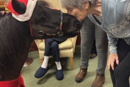 A Hoof-Tastic Christmas Surprise at Sandpiper