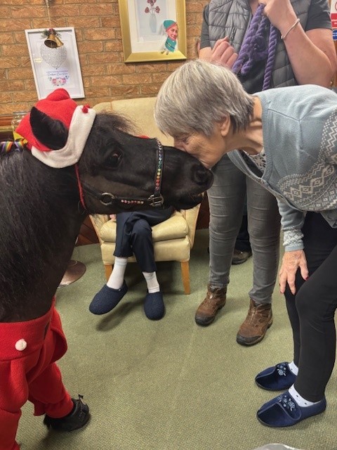 A Hoof-Tastic Christmas Surprise at Sandpiper