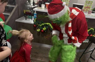 Meadows Park christmas fair delights residents and guests