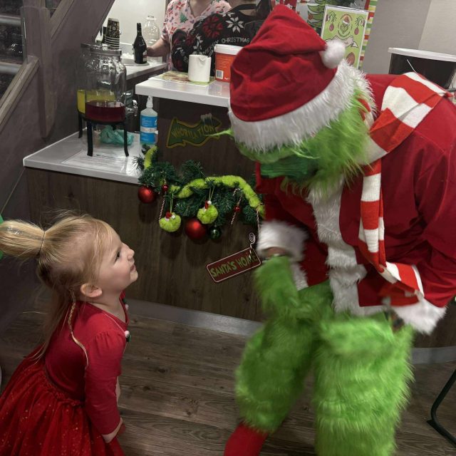 Meadows Park christmas fair delights residents and guests