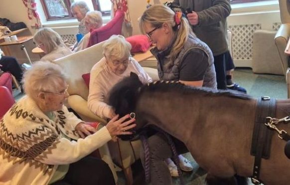 Residents at Toray Pines Welcome Special Year of the Horse Visitor for Chinese New Year Celebration