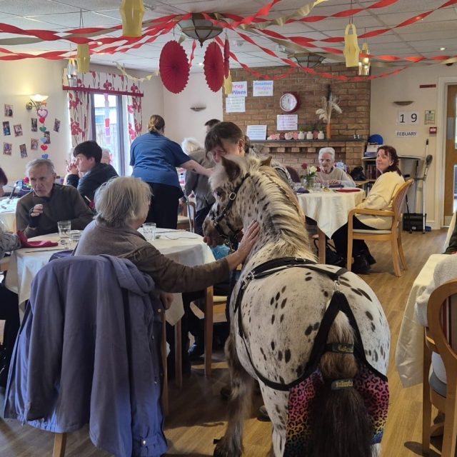 Chinese New Year Celebrated at Toray Pines Care Home