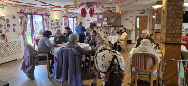 Chinese New Year Celebrated at Toray Pines Care Home