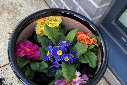 Blooming Moments: Trafford Waters Residents Cultivate Community in the Garden