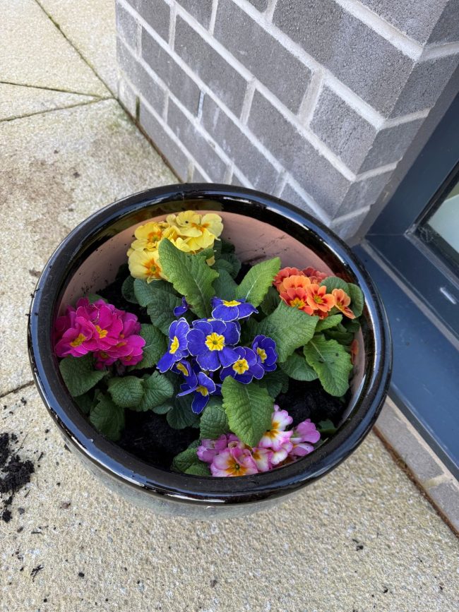 Blooming Moments: Trafford Waters Residents Cultivate Community in the Garden