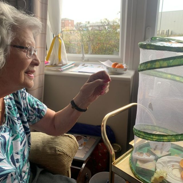 New Life Blossoms at Avocet House