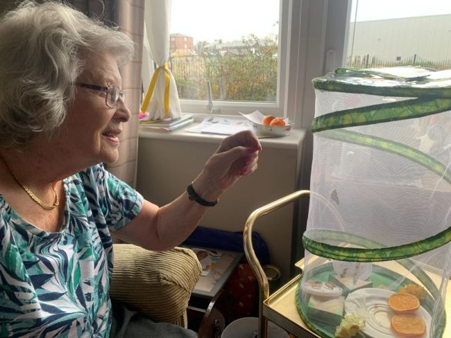 New Life Blossoms at Avocet House