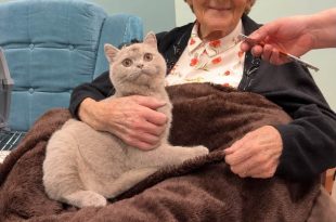 Bingley Park Care Home Welcomes Special Furry Visitor to Brighten Resident’s Day